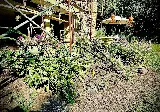 Ferrals Family Landscaping & Tree Services photo 6