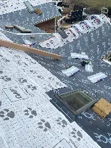 Lionshield Roofing Company photo 2
