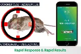 Maximum Pest Control Services photo 6