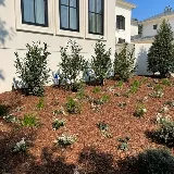 G & G Landscape Solutions photo 4