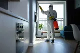 EcoTek Pest Control photo 8