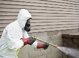 Pest Control Boston King photo 5
