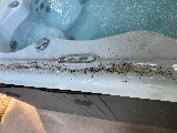 Aspen Pest Control Vancouver photo 9