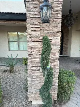 Alpha Landscape LLC photo 4