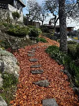 Victoria Student Landscaping photo 3