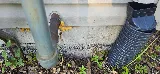 Chem-Wise Pest Control photo 8