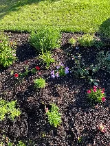 Wild Ridge Landscaping photo 7