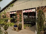 Roots Nursery & Landscape