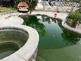 Inland Sunset Pool Services & Pool Tile Cleaning photo 8