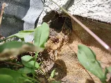 Pest Control Center photo 4
