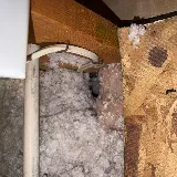 Legacy Pest Management photo 4