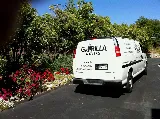 Gorilla Movers photo 6