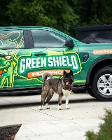 Green Shield Pest Pros photo 5