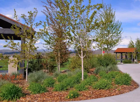 Rollins Landscaping, Inc. photo 1