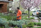 Rove Pest Control photo 5