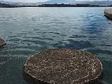 Creative Pools & Landscape photo 8