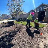Toro Lawn Care & Landscaping, LLC photo 4