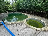 Tyler Swimming Pool photo 8