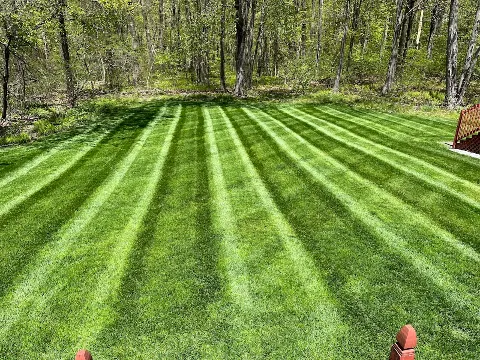 Cesar's Lawn Maintenance and Masonry photo 1