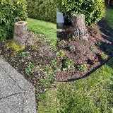 Wild Ridge Landscaping photo 4