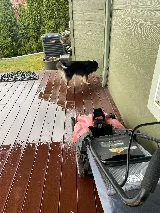 Interstate Pest Management photo 7