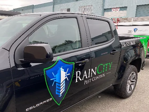 RainCity Pest Control photo 1