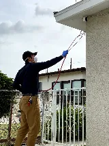 Y's Pest Control photo 8