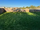 Clean-Cut Lawn Service, INC photo 3