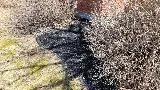 MekhScape Landscaping & Snow Removal Corp. photo 4