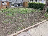 Pinnacle Paving Stone and Sod Inc. photo 5