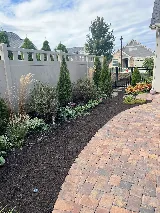 Landscaping 365