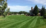 Red Moose Landscape Maintenance photo 6