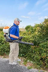Beach Pest Service photo 3