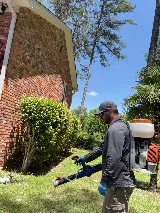 ClearDefense Pest Control photo 7