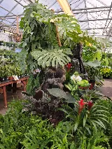 Gardens of Babylon Landscapes photo 7
