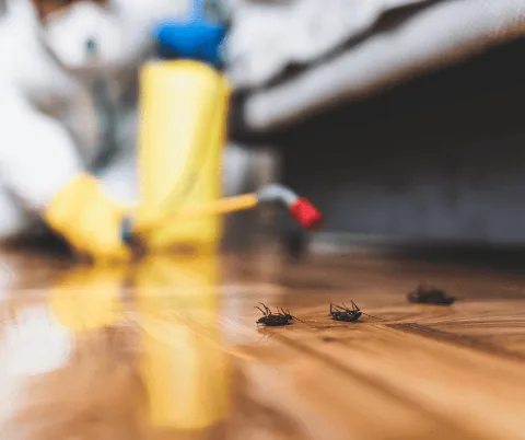 GottaGo Pest Control photo 1