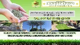 Arizona’s Landscaping Authority LLC photo 5