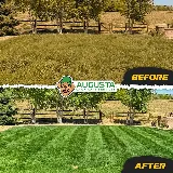 Augusta Lawn Care of Bloomington photo 2