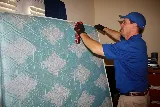 Capital Pest Services Inc photo 8