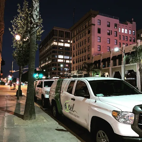 Excel Pest Management photo 1