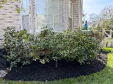 19.3 Landscaping photo 5