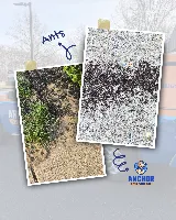 Anchor Pest Control