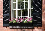 Zen Windows Twin Cities photo 5