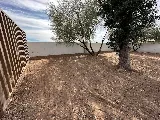 “Copechi” Junk Removal & Landscaping LLC photo 8