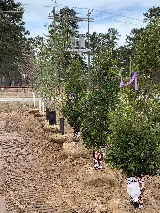 Little Rock Landscape INC photo 8