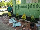 Lawn Care 365 LLC photo 6
