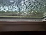 Highlander Termite & Pest Control photo 4