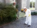 Go-Forth Pest Control photo 8