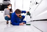 Pestine Pest Control Mississauga photo 4