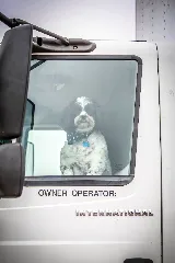 Advanced Moving photo 8